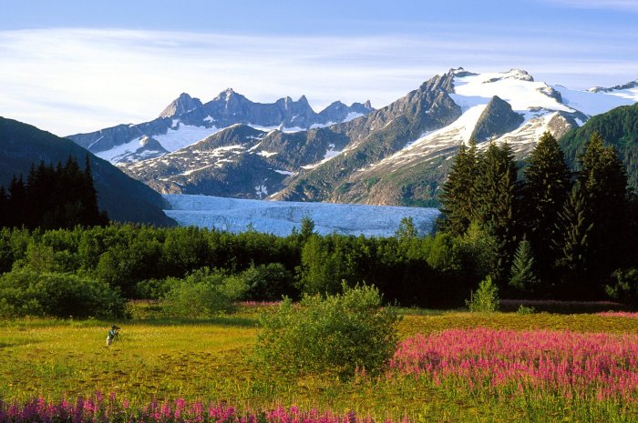 Die Natur Alaskas